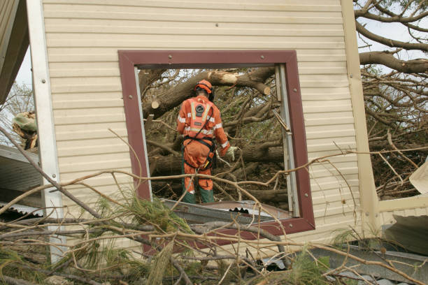 Best Commercial Tree Services  in Landisville, PA